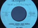 BEES VOICES GREEN & PURPLE RARE GARAGE PSYCH 45