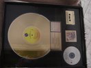 Madonna Gold Record Award 
