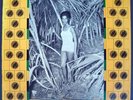 RONNIE DAVIS LP BEAUTIFUL PEOPLE FROM JAMAICA RARE 1976