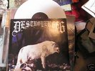 Destroyer 666 White LP Unchain the Wolves RARE gatefold