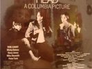 HEAD  THE MONKEES COLGEMS COSO-5008    BRAND NEW SEALED