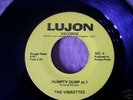 The Vibrettes   HUMPTY DUMP    RARE FUNK 45   LUJON 101