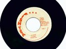 RARE DIGITAL ROOTS - LEADER - ROBERT LEE 7