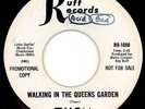 KILLER GARAGE BAND 45 THEM ON RUFF RECORDS LISTEN