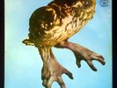 BRAINCHILD Healing Of The Lunatic Owl EX+ 1970 A&M LP