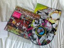 Yeah Yeah Yeahs FEVER TO TELL Ltd.Ed. Picture Disc LP