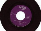 LITTLE BEAVER Everybody Has Some Dues SAADIA Funk 45