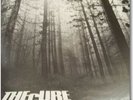 THE CURE - A FOREST 12