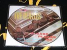 THE BEATLES PLEASE PLEASE ME LP (PICTURE DISC) RARE