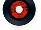 SONICS -garage 45-  Shot Down