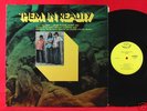 THEM IN REALITY 1971 HEAVY GARAGE PSYCH POWER TRIO LP
