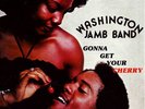 LP: Washington Jamb Band - Gonna Get Your Cherry '77 US