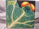 CATAPILLA: CHANGES - UK VERTIGO SWIRL PROGRESSIVE LP