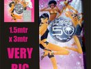 Orig. Hed Kandi VERY LARGE Mesh Club Banner, The MiX 50