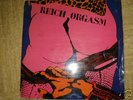 punk rock reich orgasm