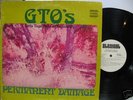 GTO's Permanent Damage LP white-label promo Straight