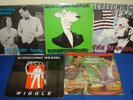 SCREECHING WEASEL 5 x  Album Set   lilingtons green day