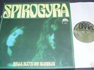 SPIROGYRA 