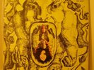 EL RITUAL rare MEXICAN HEAVY PSYCH PROG ORIG LP