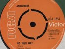 ANDROMEDA Go Your Way 1969 UK 7