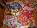 SACRIFICIO 