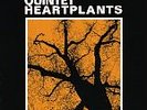 GUNTER HAMPEL,schlippenbach -heartplants/orig. SABA mps