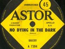 BAKERY No Dying in the Dark 7
