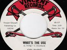 JOEY IRVING What's The Use VINCENT Funk 45