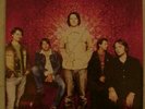 POWDERFINGER + Bernard Fanning authentic signed poster