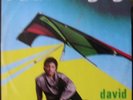 Original Italo Disco : DAVID GRAY 