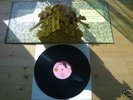 JETHRO TULL STAND UP GIMMIXCOVER 1969 D ISLAND EYE