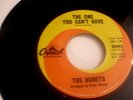 HONEYS,THE ONE YOU CAN'T HAVE, CAPITOL, BRIAN WILSON