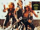 Destructor Maximum Destruction RARE U.S. LP Auburn