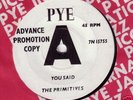 Rare 60s Pye  Primitives  Demo  original beat group 45