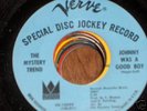 garage psych MYSTERY TREND Johnny Was A Good Boy  Mint-