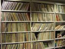 C. Hot Rap/RnB DJ Vinyl Package (mehr als 100 Tracks)