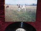 PINK FLOYD rare LP   MOO  w SYD BARRETT era tracks