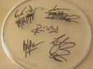THE ROLLING STONES autographed signed DRUM SKIN w/COA