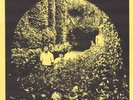 THE SEARCH PARTY Montgomery Chapel 1968 Psych LP