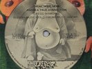 ANDREA TRUE CONNECTION - MORE MORE MORE 12