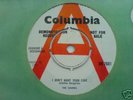 I Don't Want your Love The Shanes Columbia UK Demo 1965