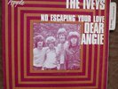 The IVEYS Dear Angie ['69 French Apple 7