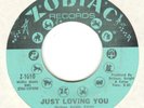 RUBY ANDREWS  Just Loving You  NORTHERN SOUL 45