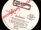 BRANDON-MOVES 12