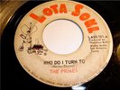 RARE Texas Northern Soul - THE PRIMES 45 on LOTA SOUL