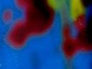 LILYS: Eccsame The Photon Band LP - Spin Art Records