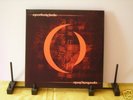 *A PERFECT CIRCLE* Mer De Noms DOUBLE LP Tool MINT-