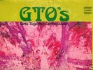 RARE ORIGINAL GTO'S PERMANENT DAMAGE LP WITH BOOKLET