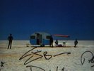 Cold Chisel Circus Animals lp signed front cover LOOK 