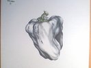 WEEN - WHITE PEPPER - WHITE VINYL LP